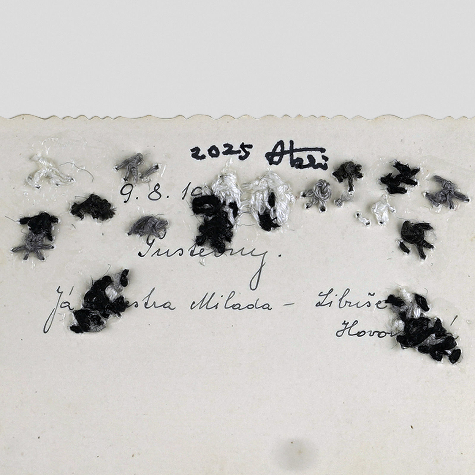 劉正堃 Abei LIU, 亂入系列- 50s Family Photo I 50s Family Photo I, 2025