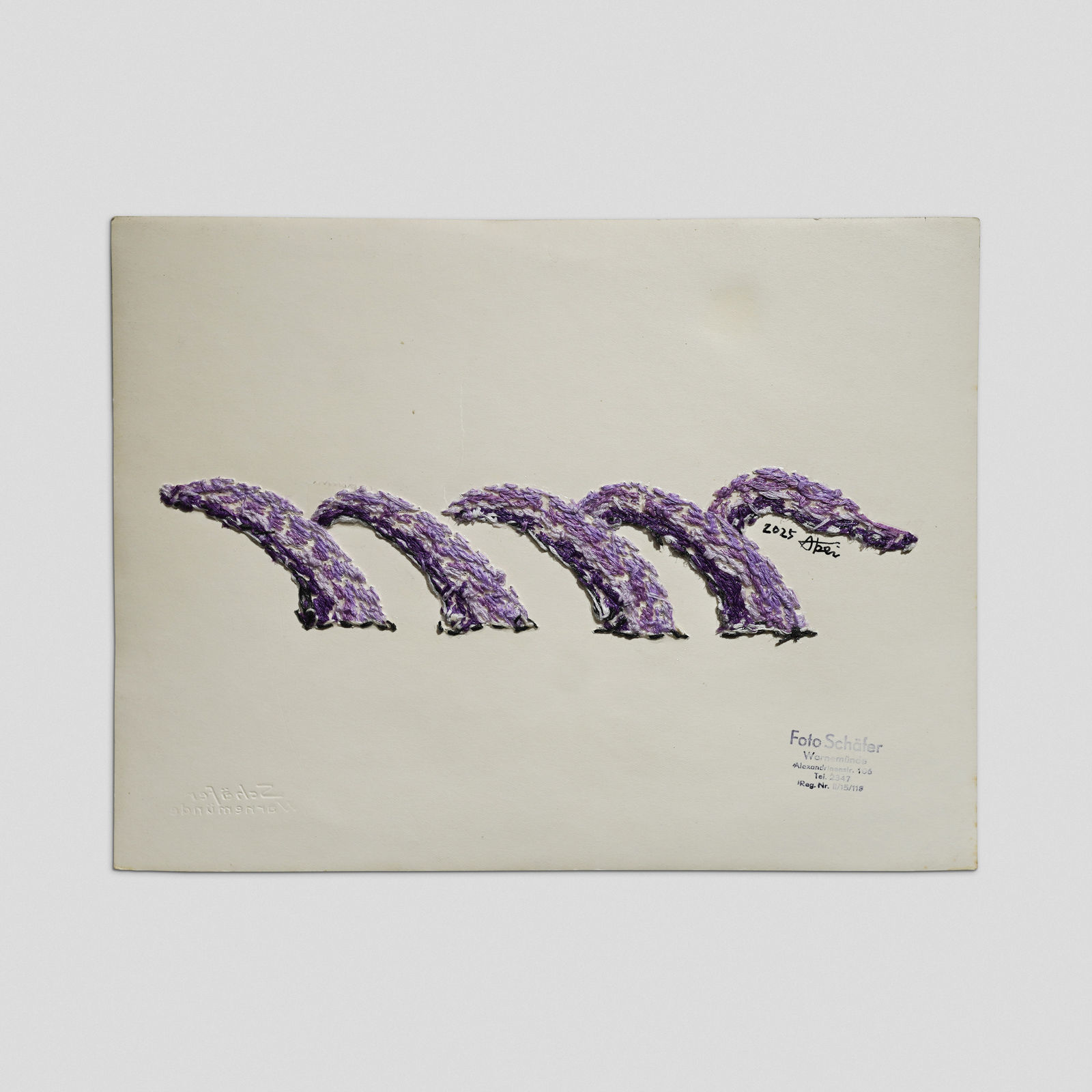 劉正堃 Abei LIU, 亂入系列- Photo of the Halberstadt from Warnemünde, Taken by Schäfer , 2025