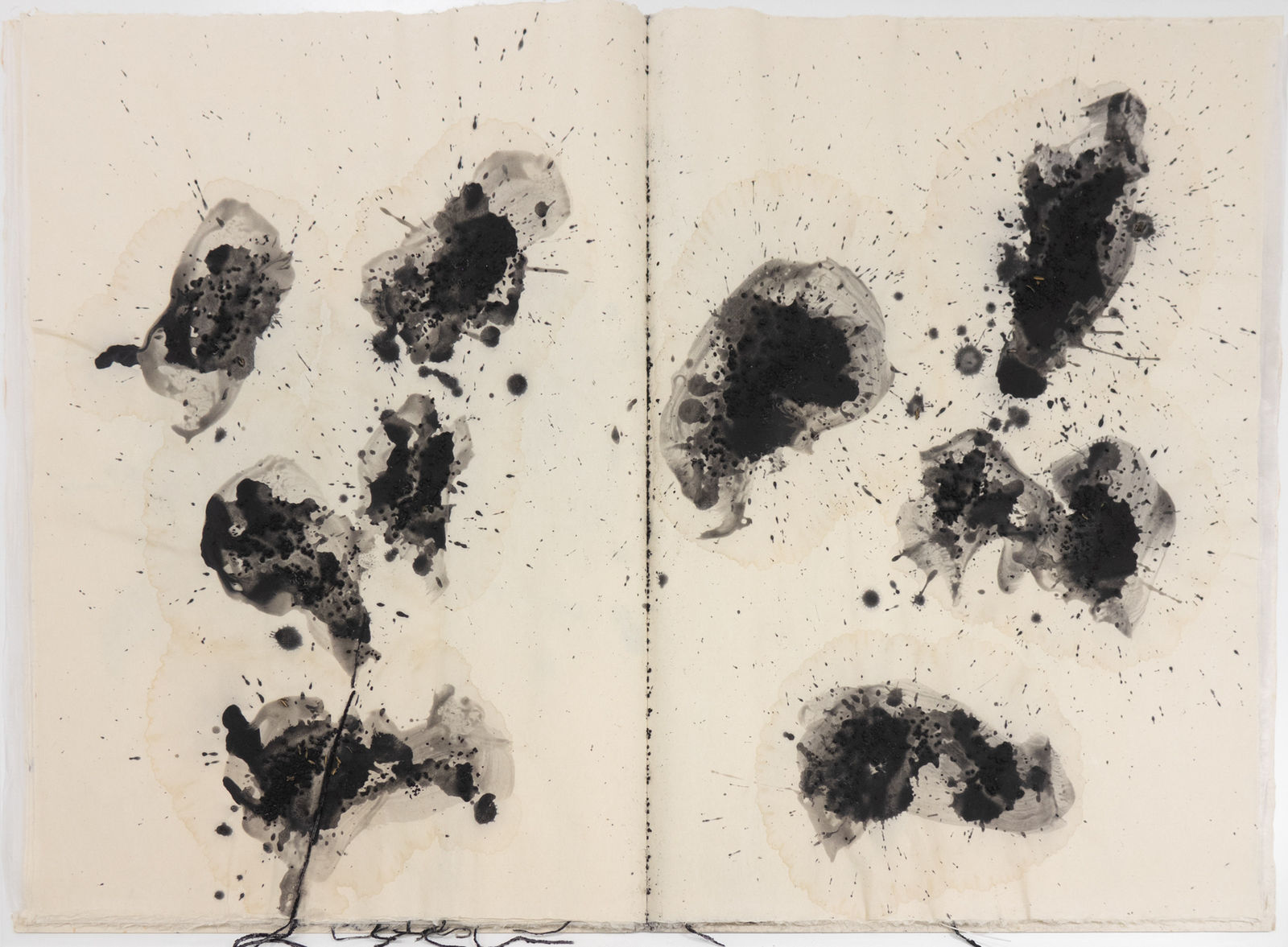蔡國強 CAI Guo-Qiang, 危險書 Danger Book: Suicide Fireworks, 2007