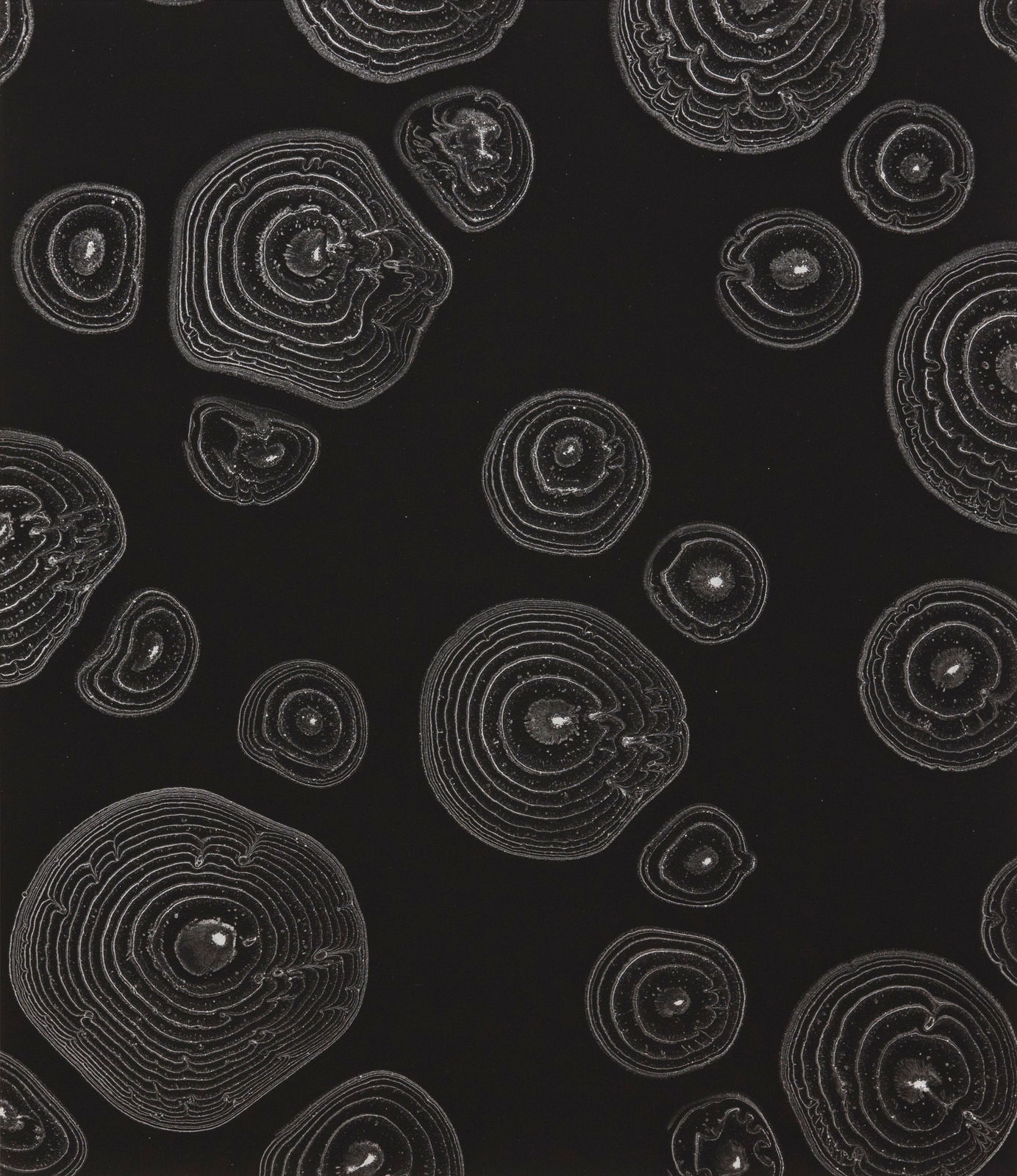 能條雅由 Masayoshi NOJO, 連結 #9 Link #9, 2022