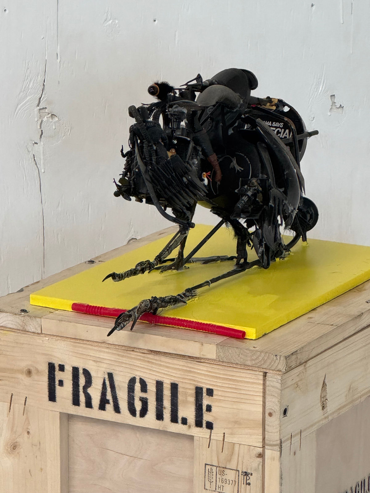 Thomas Deininger, Untitled (Crow – Momma Says I'm Special), 2025