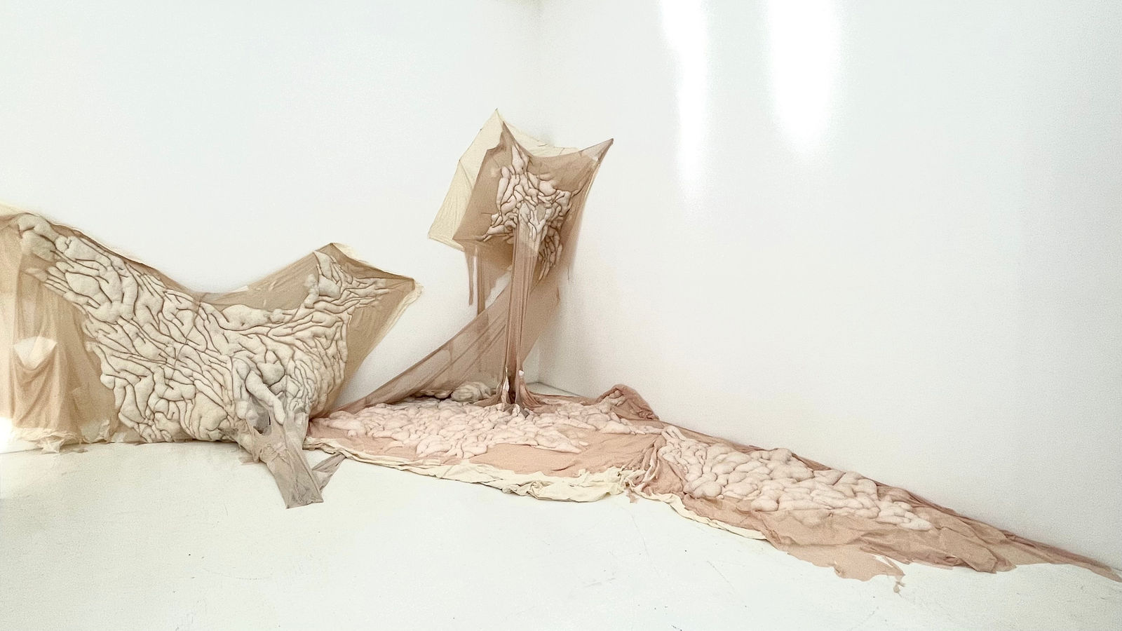 Edie Xu, Outside of Bodies, 2021