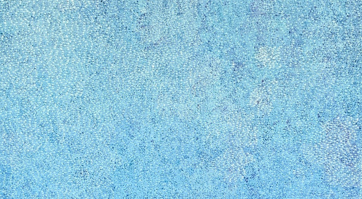 Roseanne Morton Petyarre, Bush Plum , 2021