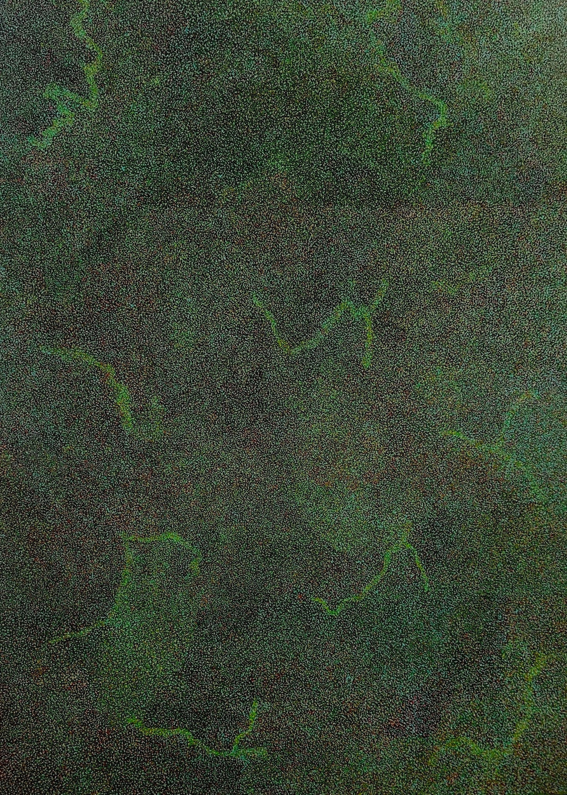 Caroline Petrick Ngwarreye, My Beautiful County , 2025