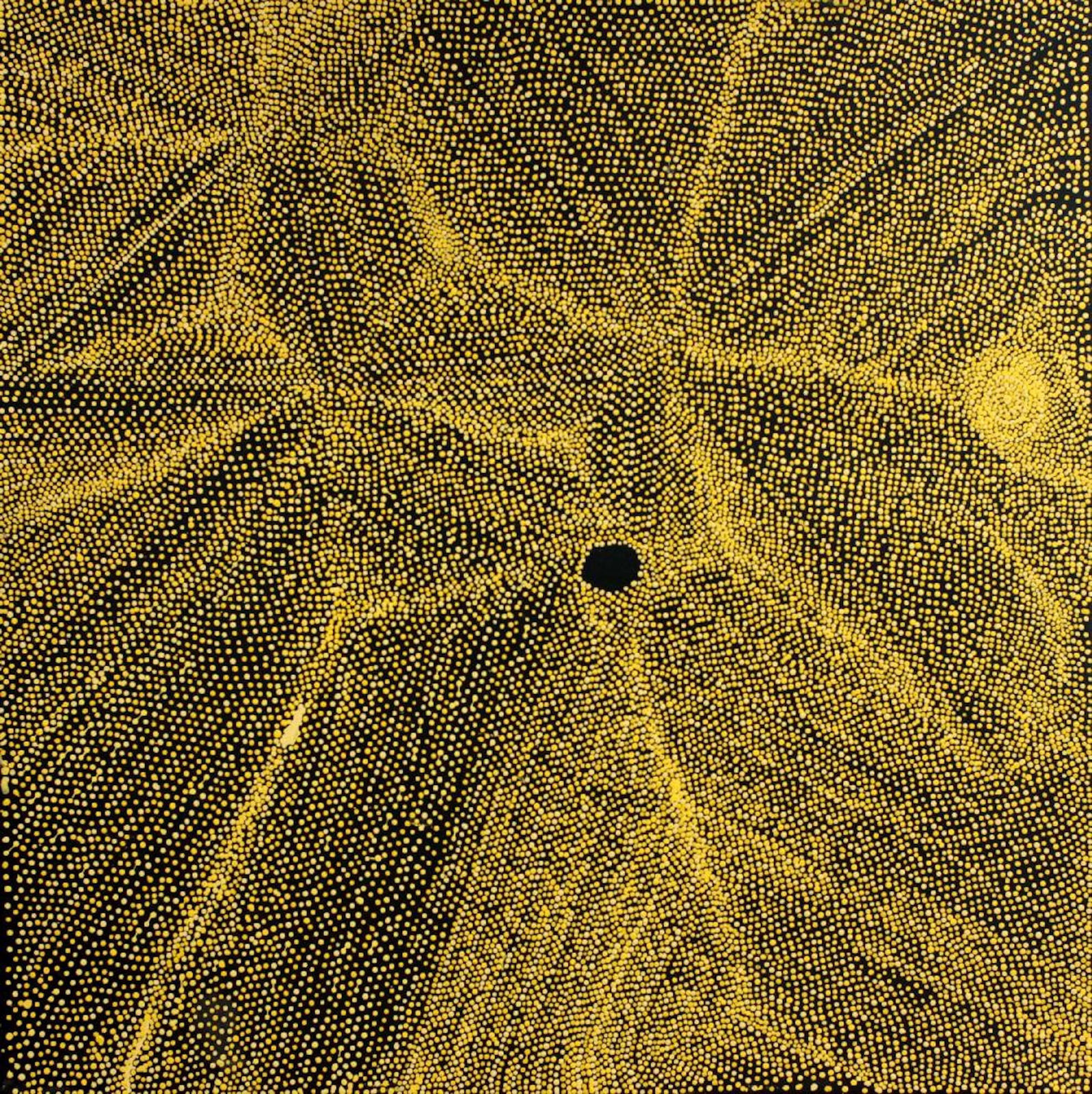 Pepai Jangala Carroll, Walungurru, 2011