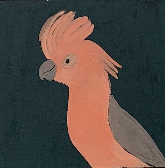 Wilma Napangardi Poulson, Birds that live around Yuendumu, 2020