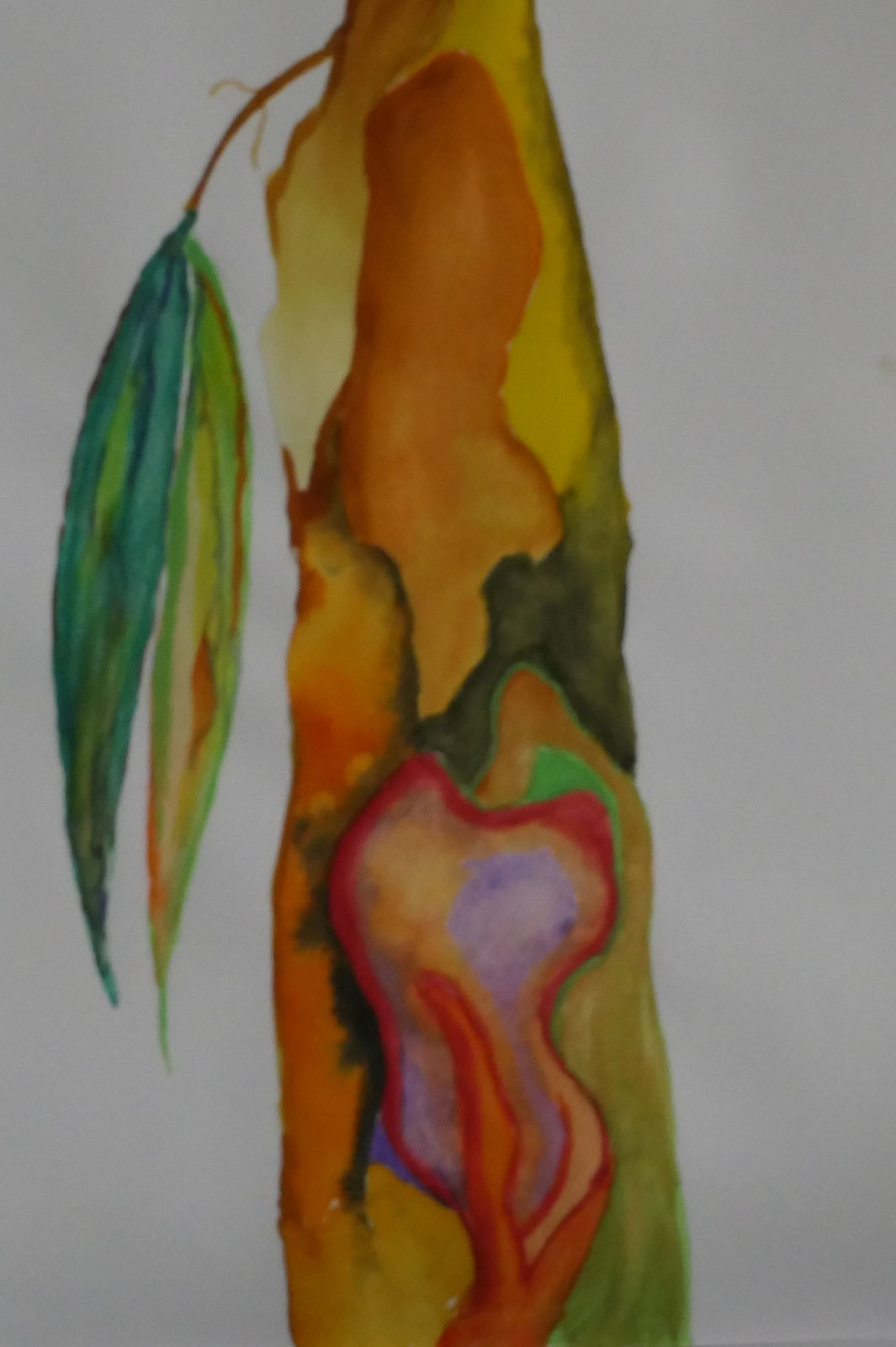 Cynthia Hardie, Bark Painting of many colours, 2020