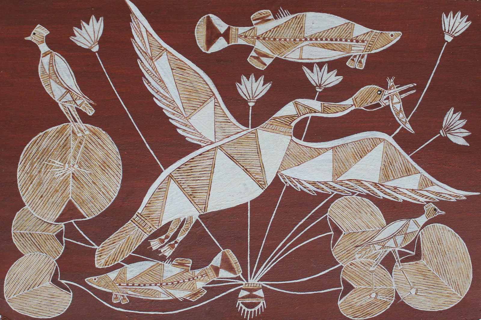 Graham Badari, Kardabaibai (Darter) catching Manmakkawarri (Catfish) at the Kulabbarl (Billabong), Kurraguyangguyang (Jacana) on Mandem (Lilypads), 2018