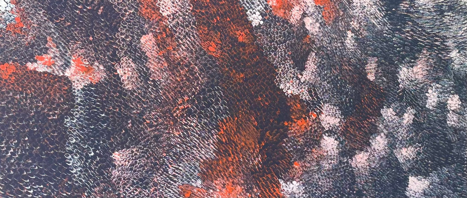 Amanda Jane Gabori, Dibirdibi Scales, 2020