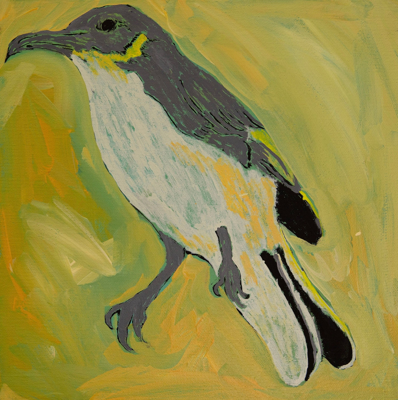 Jeffrey Lewis, Jeffrey's Birds, 2022