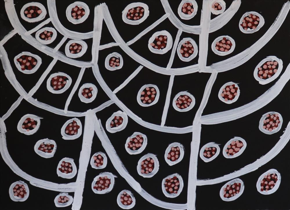 Kittey Malarvie Ngyalgarri, Ngappa, 2019