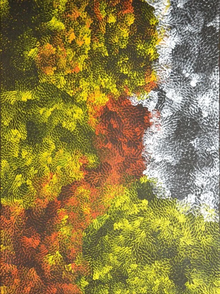 Amanda Jane Gabori Dibirdibi, Dibirdibi Totem, 2014