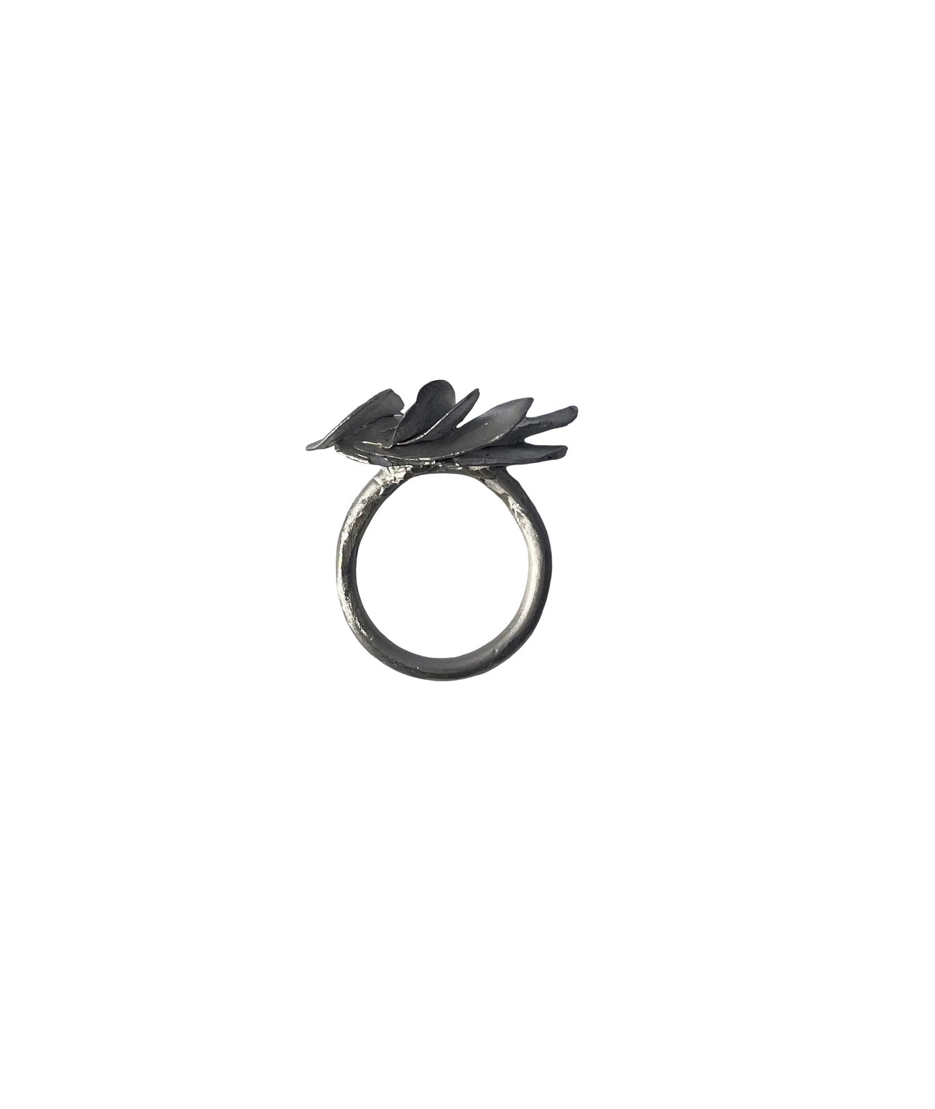 Emily McCulloch Childs, Ring, 2025