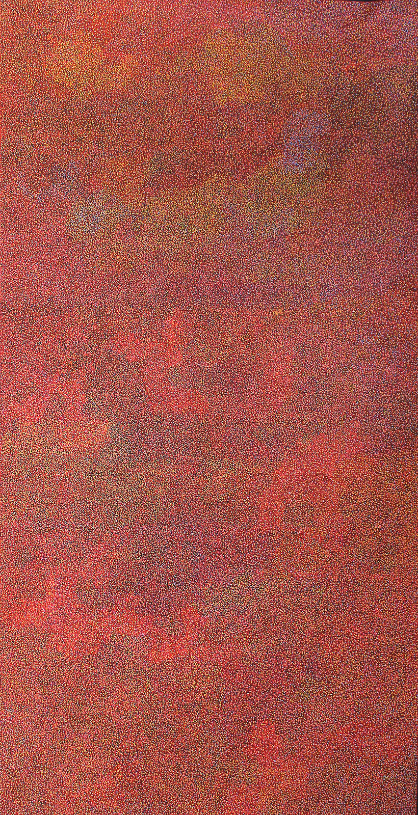 Caroline Petrick Ngwarreye, My Beautiful Country, 2023