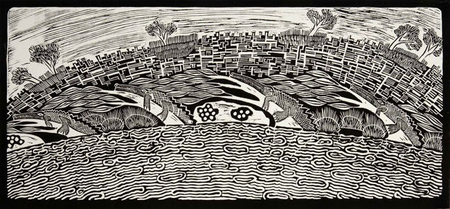 David Wright, Freshwater Crocodiles on the Paperbark at Katherine Gorge , 2016