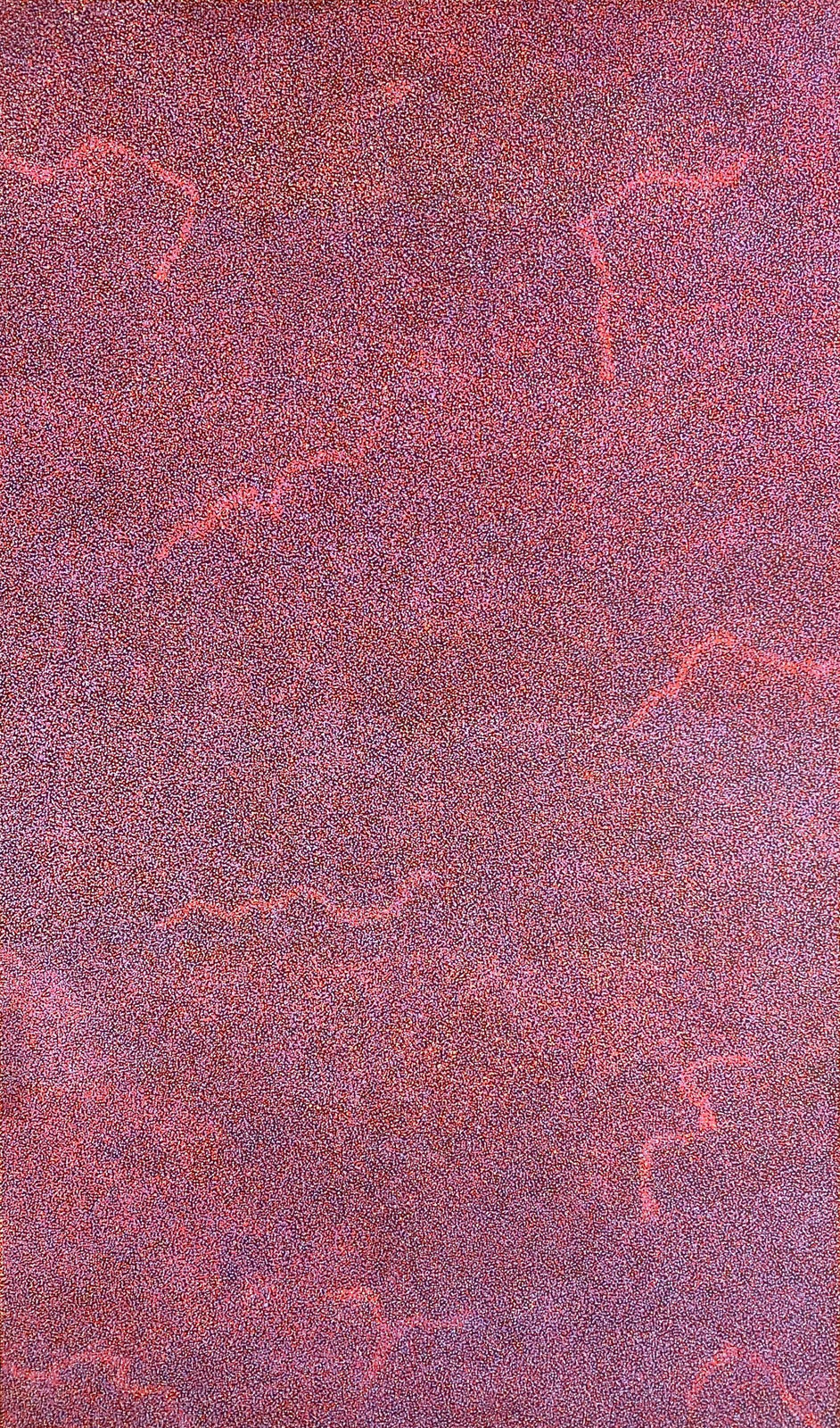 Caroline Petrick Ngwarreye, My Beautiful Country, 2025