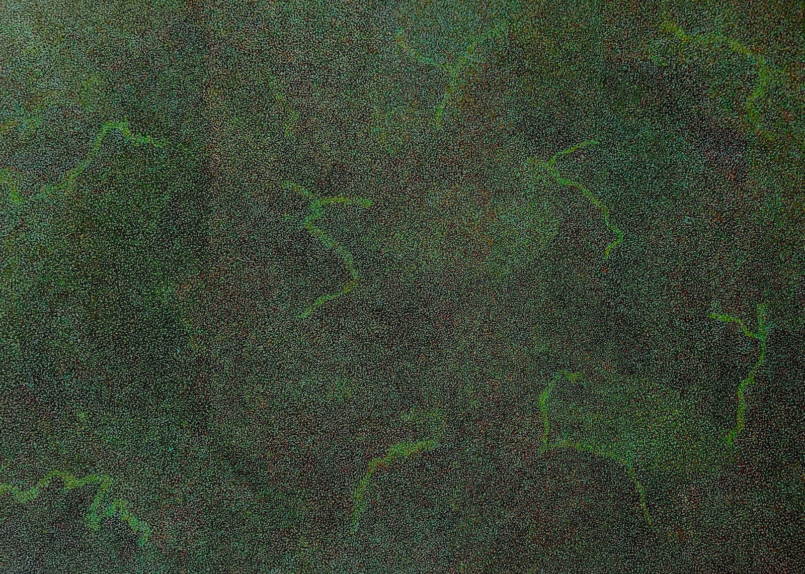 Caroline Petrick Ngwarreye, My Beautiful County , 2025