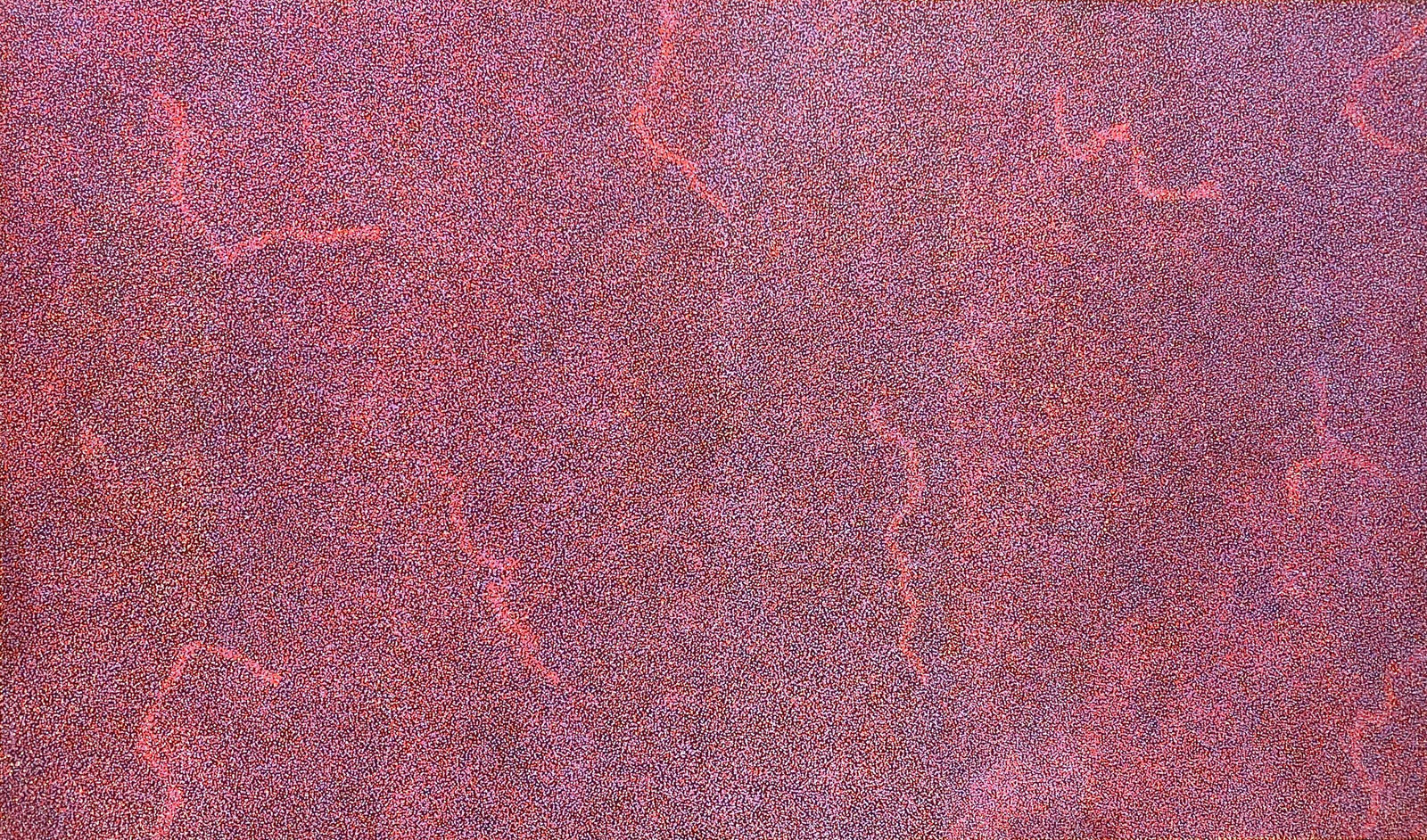 Caroline Petrick Ngwarreye, My Beautiful Country, 2025