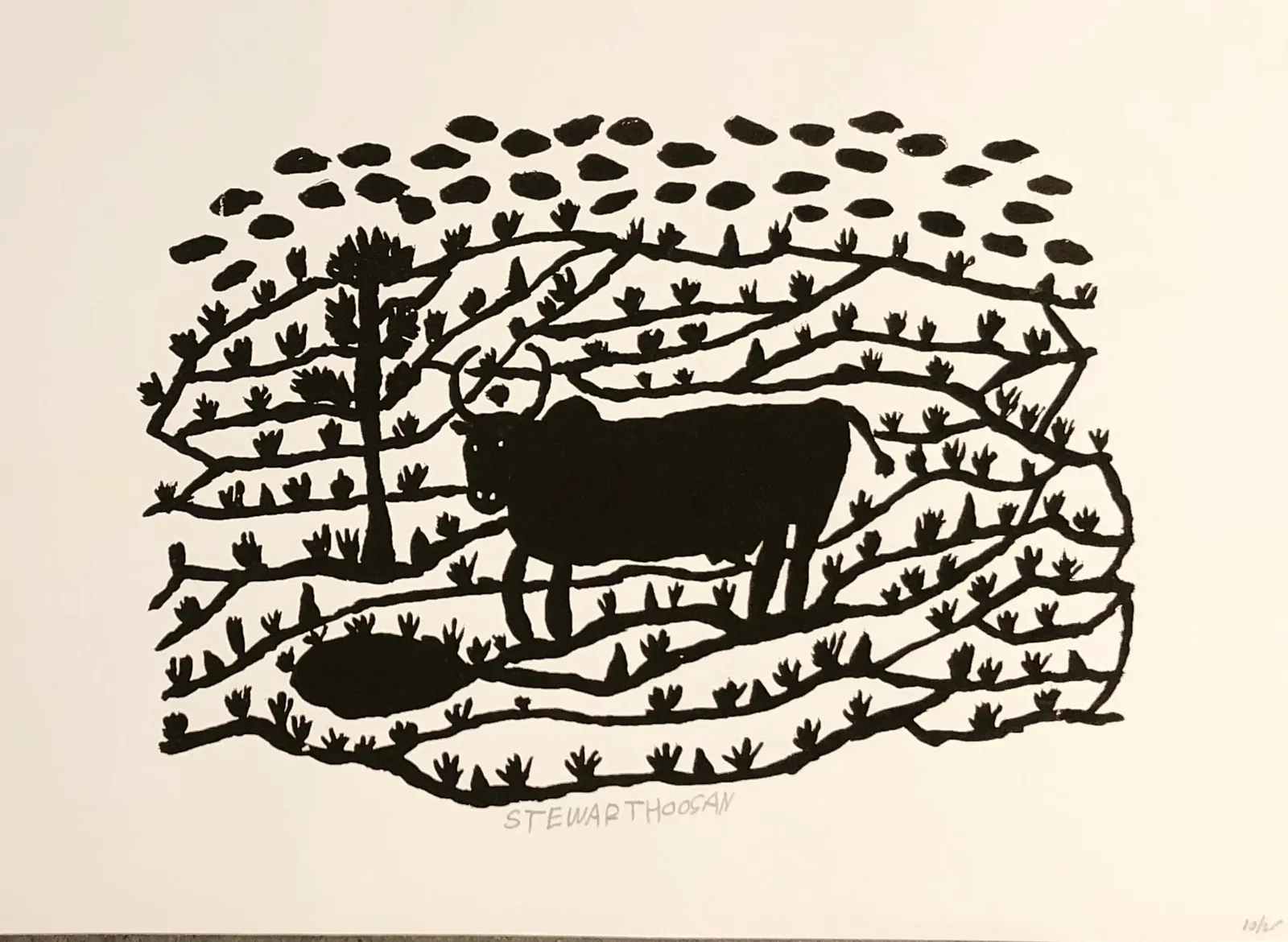 Stewart Hoosan, Bucking bull, 2019