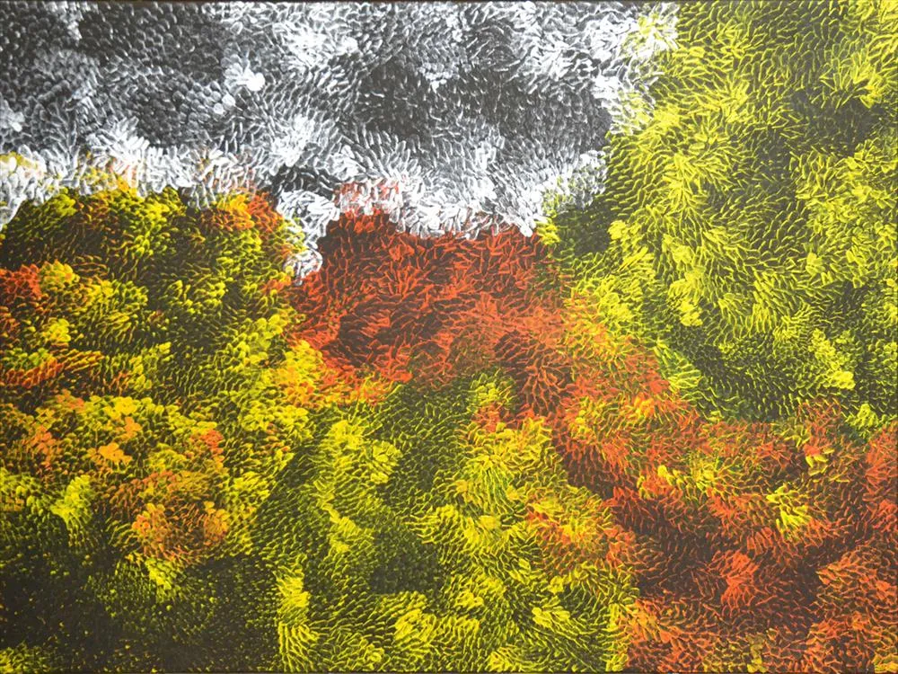 Amanda Jane Gabori Dibirdibi, Dibirdibi Totem, 2014