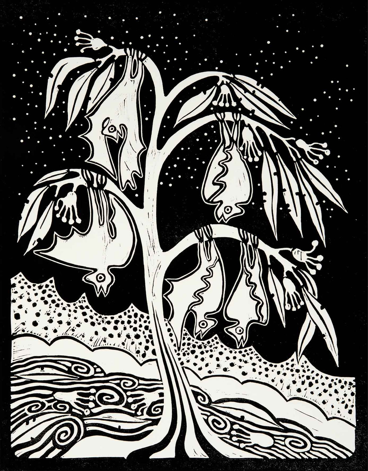 David Wright, Flying Foxes at Ord River , 2018