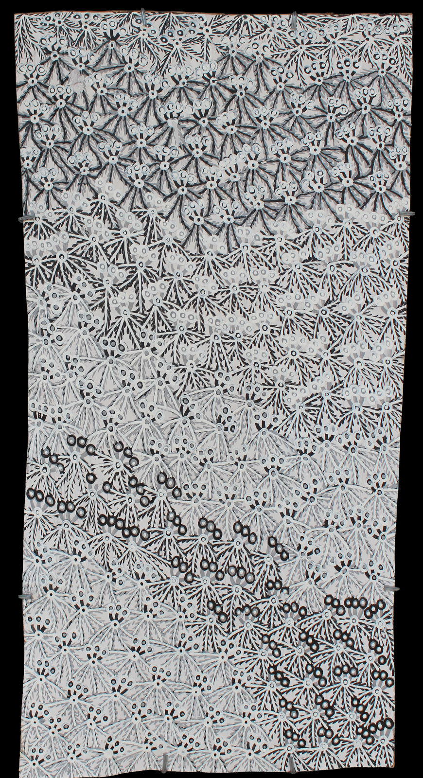 Muluymuluy Wirrpanda, Buḻwutja, 2025