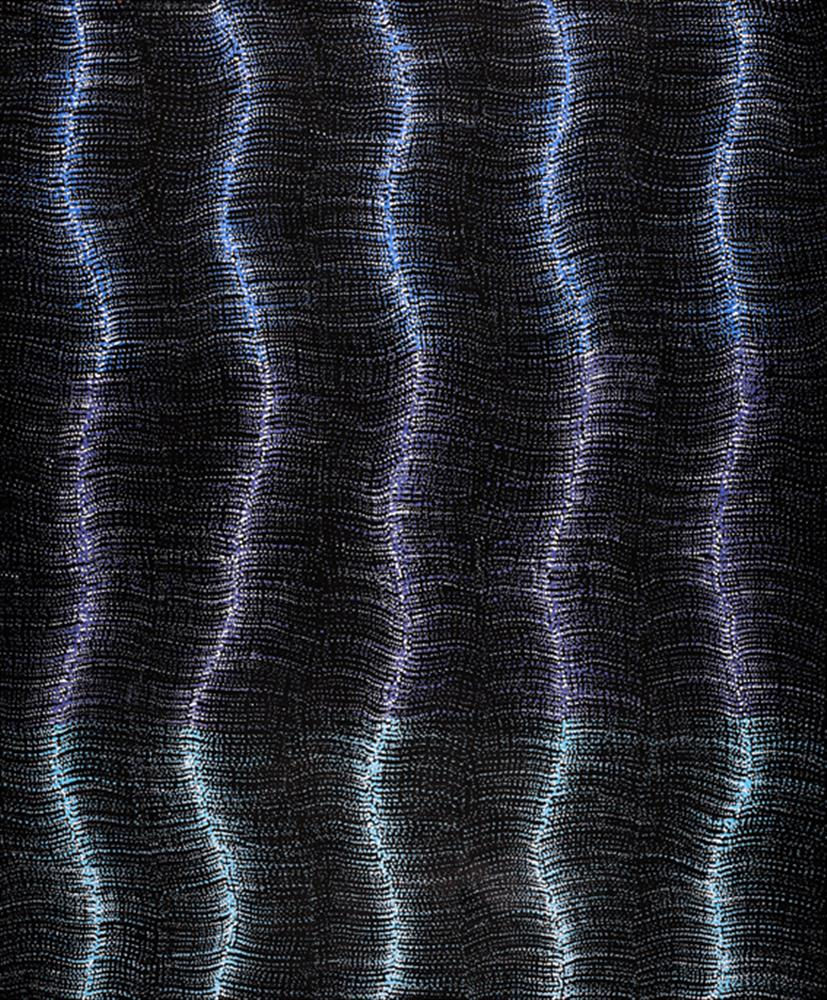 Debbie Napaljarri Brown, Wanakiji Jukurrpa (Bush Tomato Dreaming), 2021