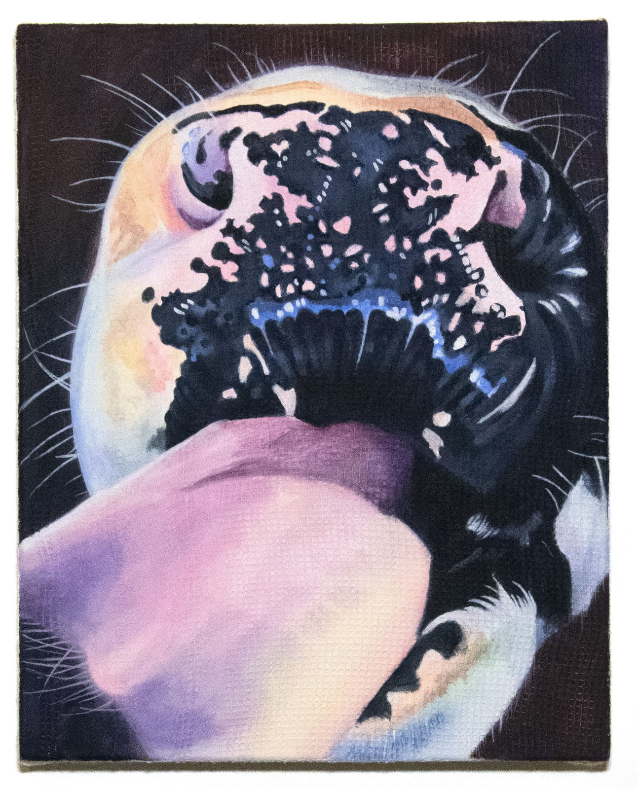 Clémentine Taupin, Coup de langue poilue, 2025