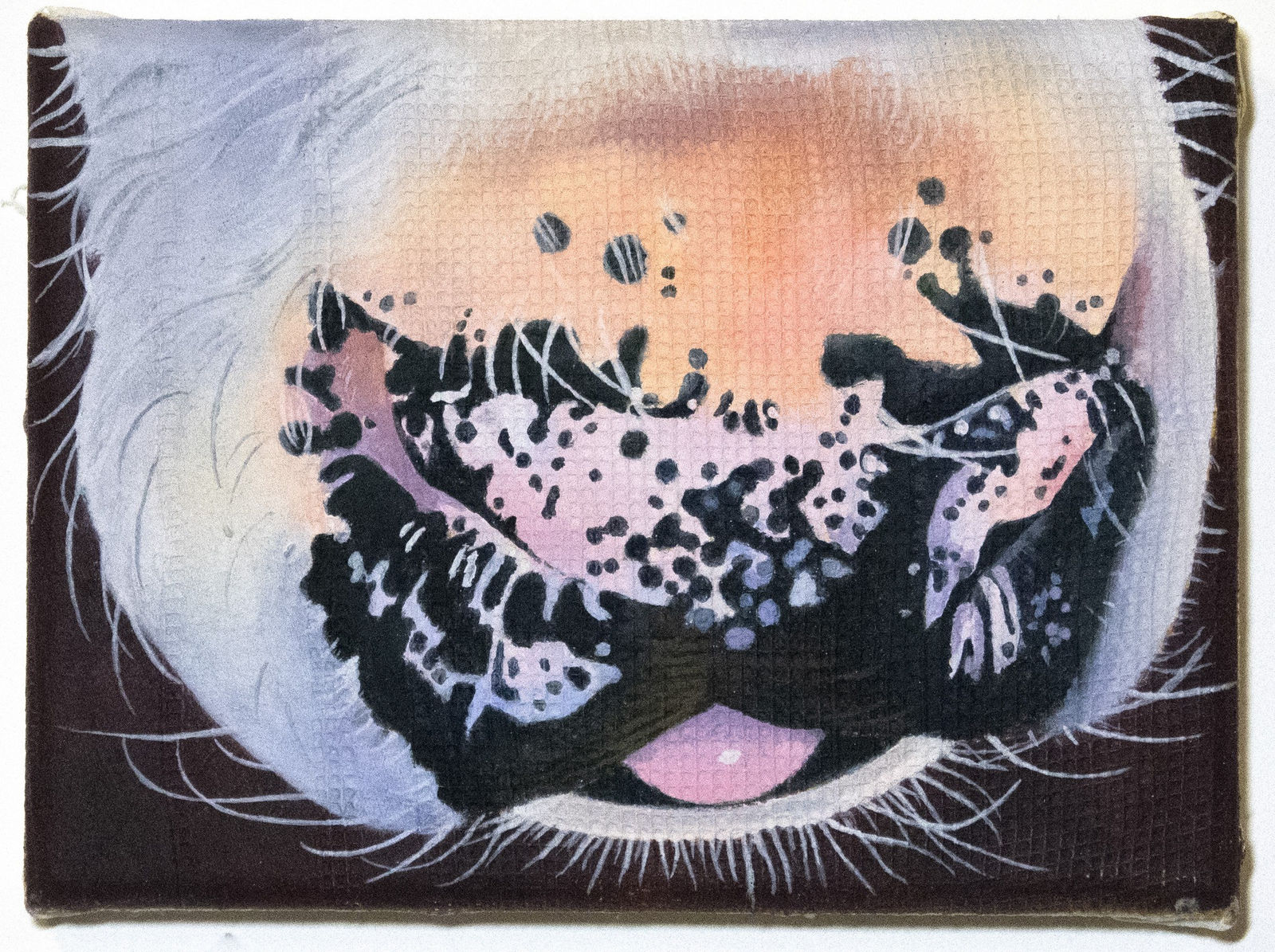 Clémentine Taupin, Bouille de veau, 2025