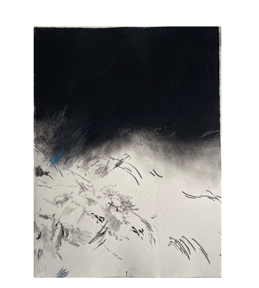 Stéphanie Mansy, États Intérieurs #2, 2024