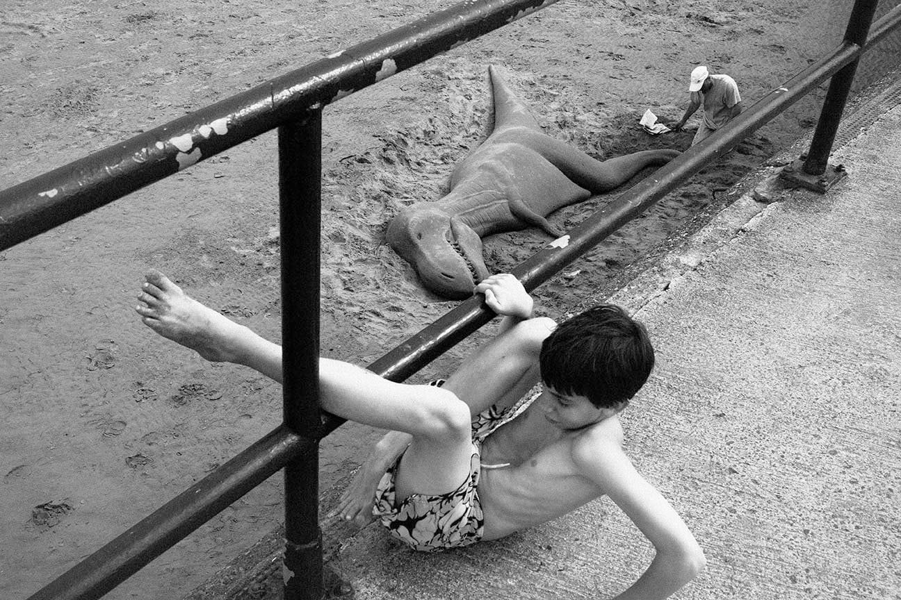 Roger Deakins, The Dinosaur, Paignton, 2011