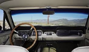 JANE HILTON, MUSTANG INTERIOR, NEVADA DESERT, 2008