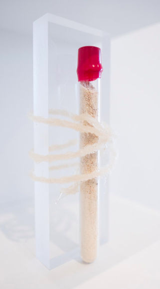 Maureen Gruben, Match, 2017