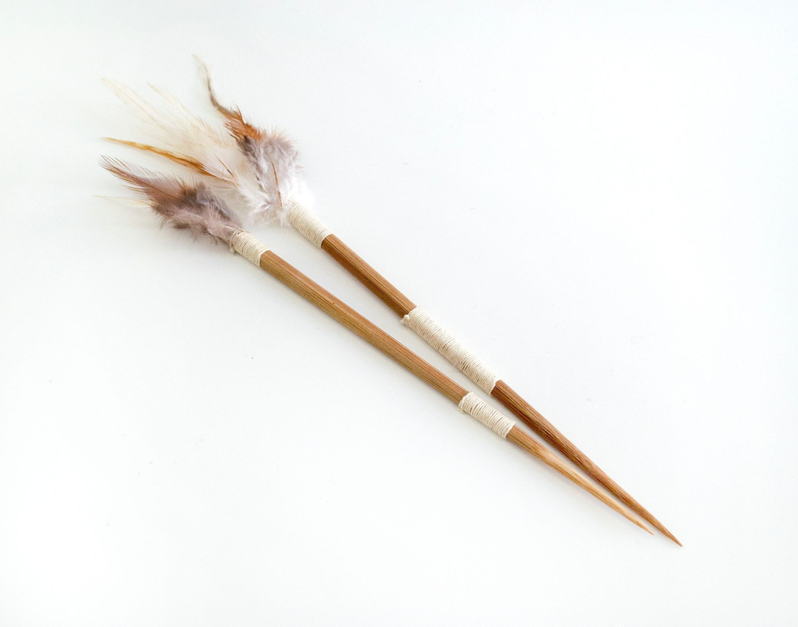 Carlos Colín, Darts (2), 2018