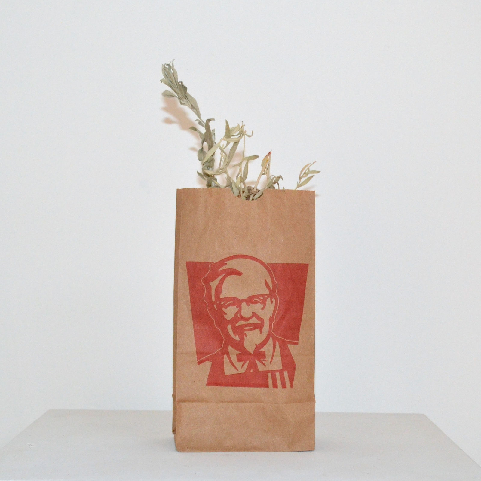 Michelle Sound, Medicine Bag (Sage), 2025