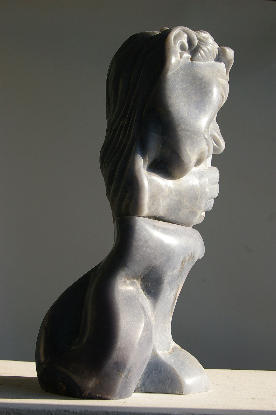 Rossen Daskalov, Serpentine Thrust, 2010-2011