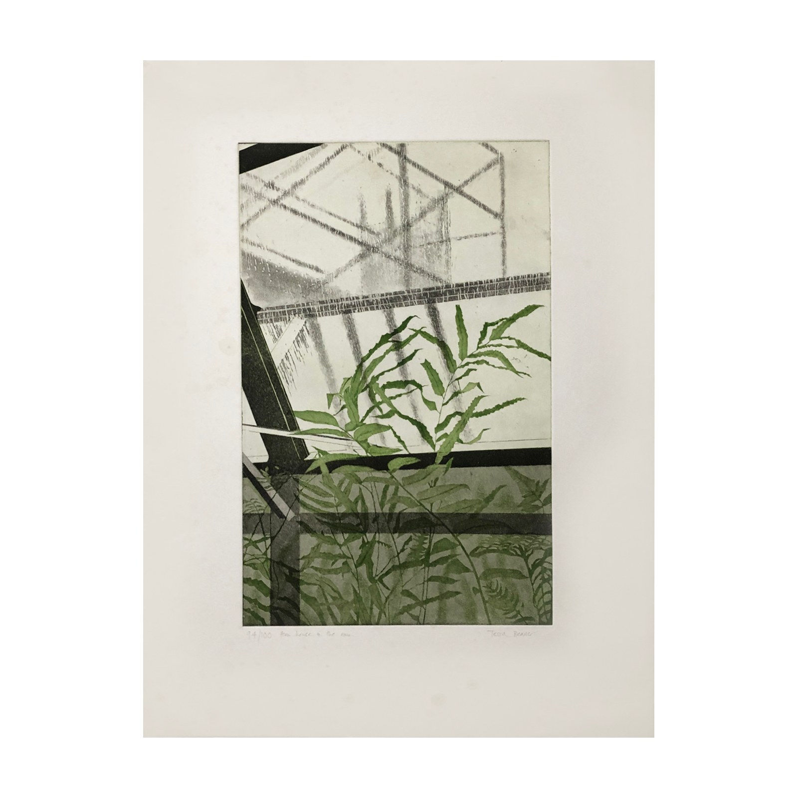 Tessa Beaver, Fern House in the Rain