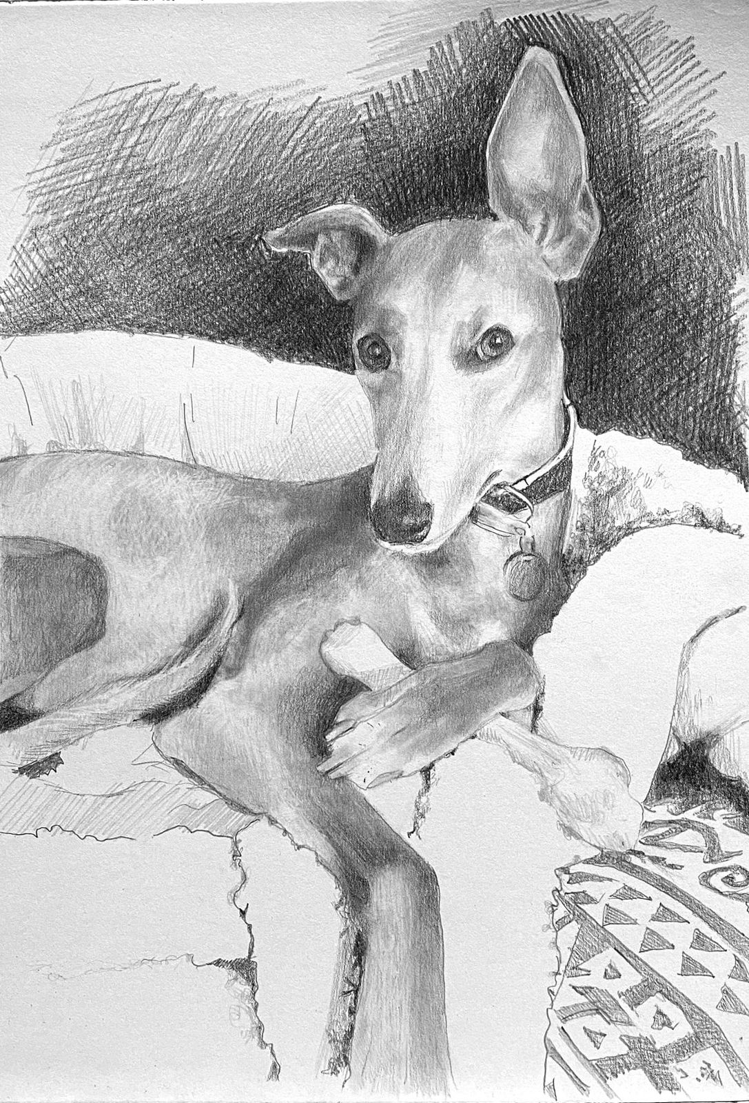 Lucy SM Johnston, Zipper, 2021