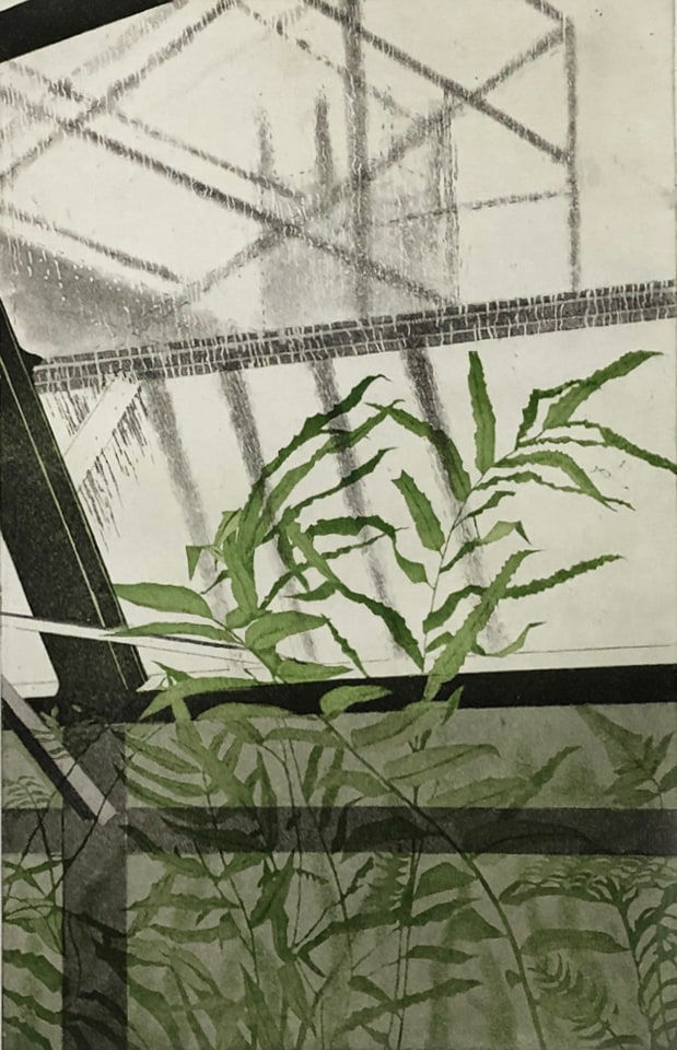 Tessa Beaver, Fern House in the Rain