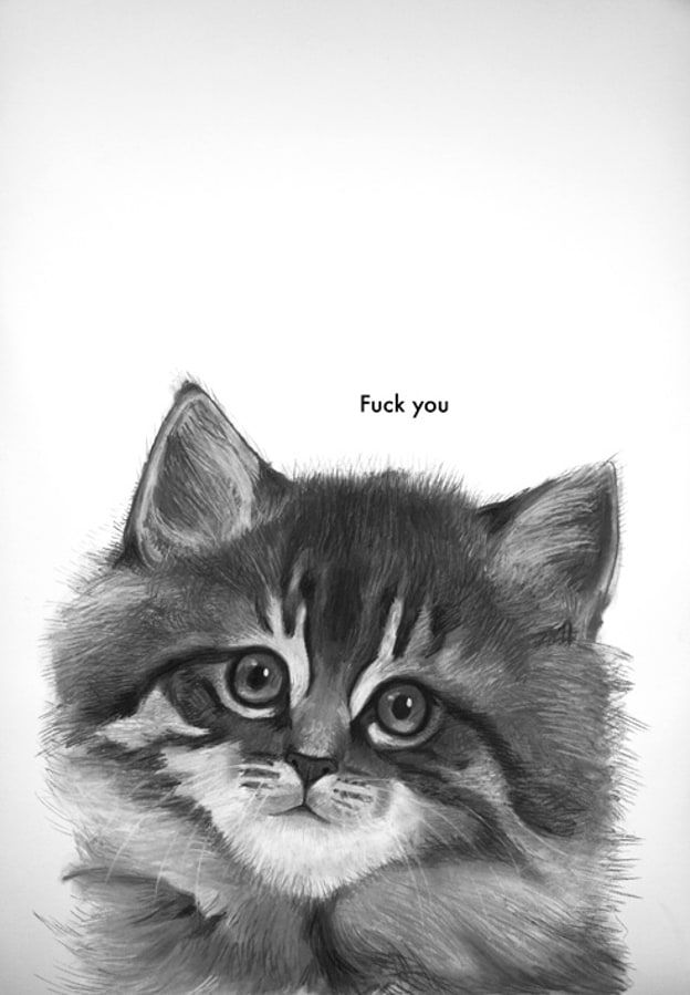 Lucy SM Johnston, Norwegian Forest kitten, 2014