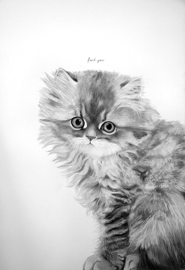 Lucy SM Johnston, Doll-face Golden Persian Chinchilla kitten, 2014
