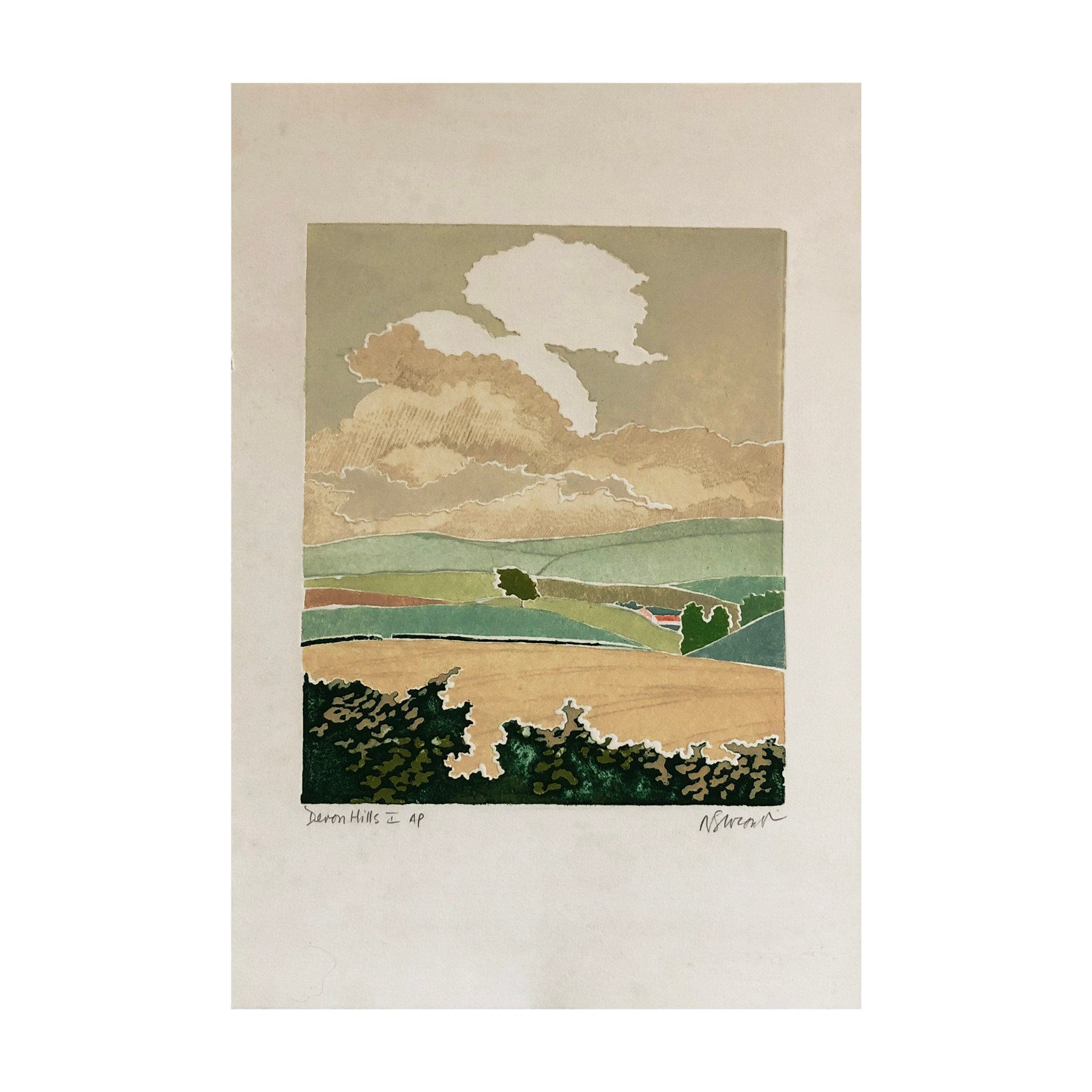 Barbara Newcomb, Devon Hills I