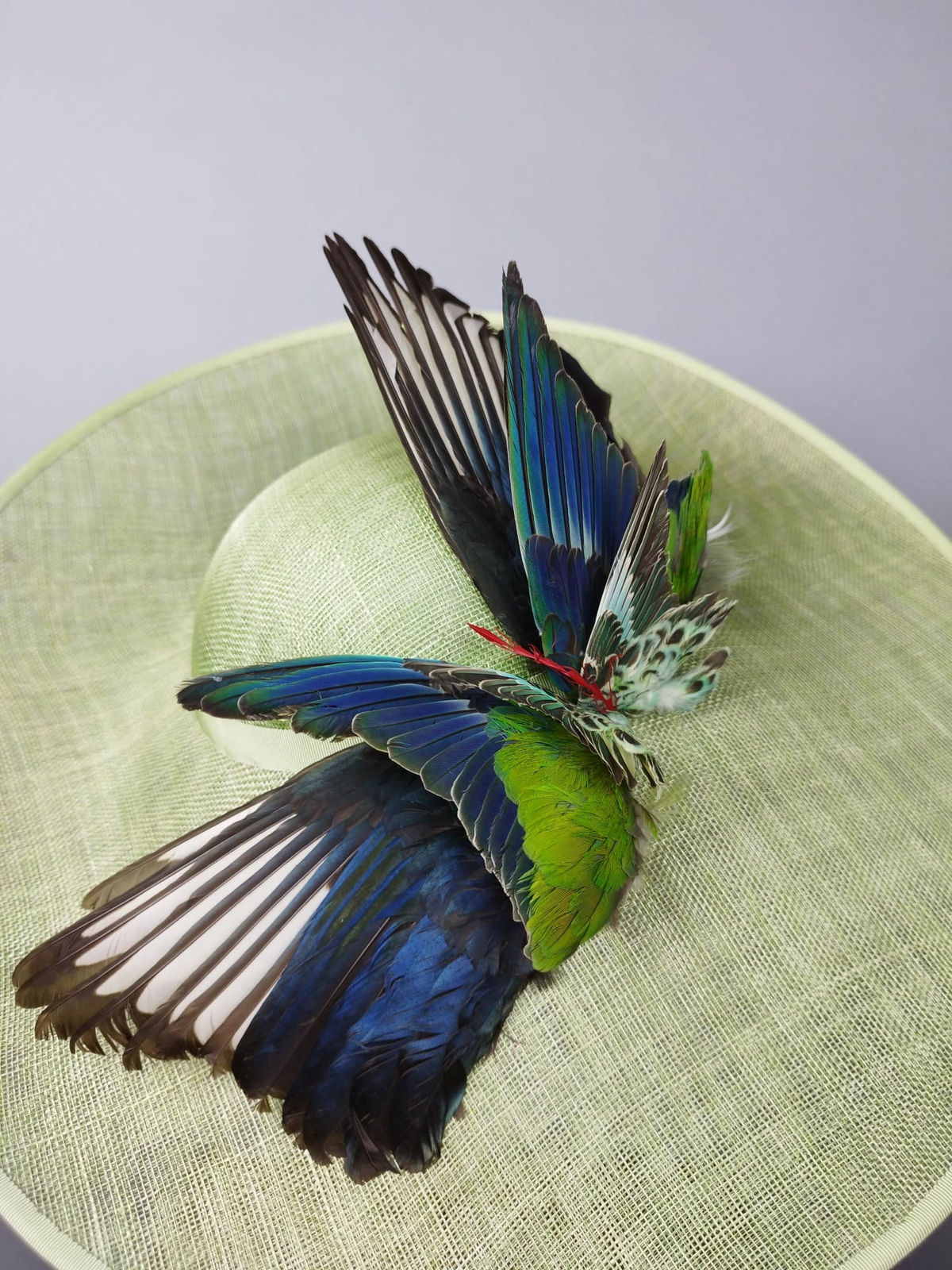 Sahar Freemantle, Aviary Elegance , 2023