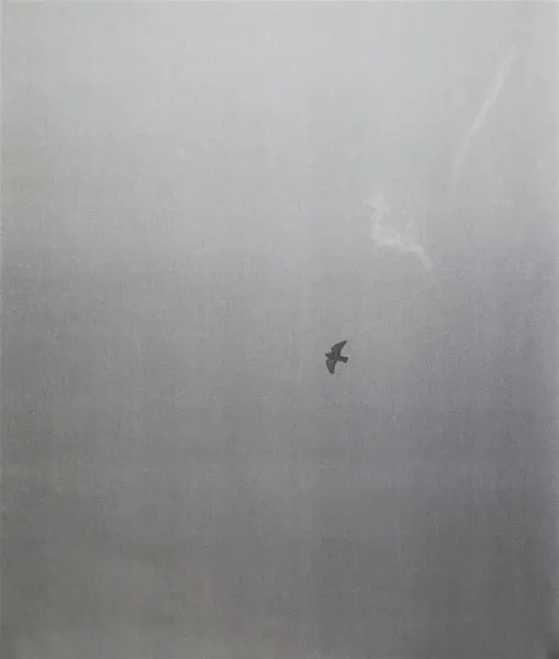 Felix Gonzalez-Torres, Untitled (Strange Bird), 2016