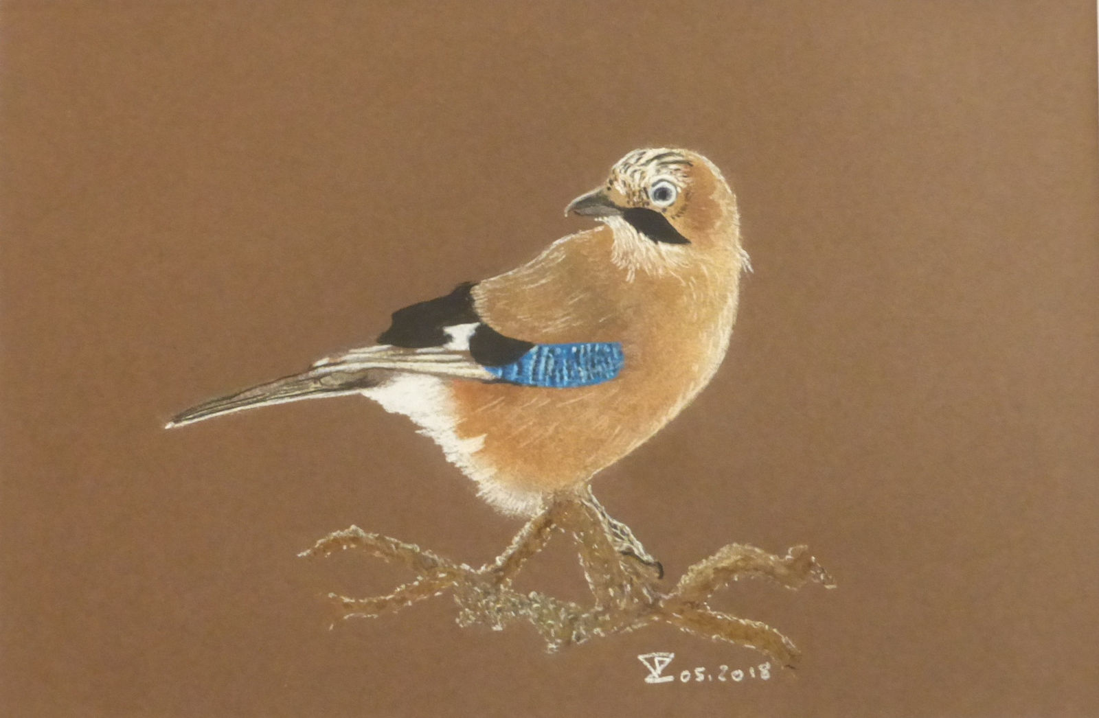 Frédéric Lorne, Geai, 2018