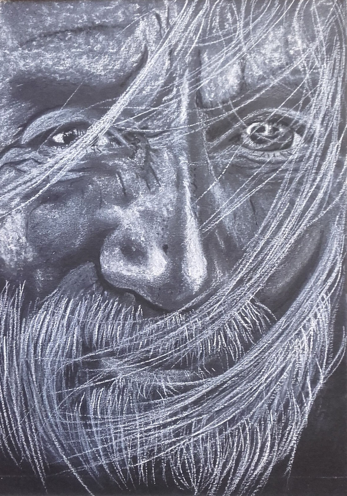 Frédéric Lorne, Indien