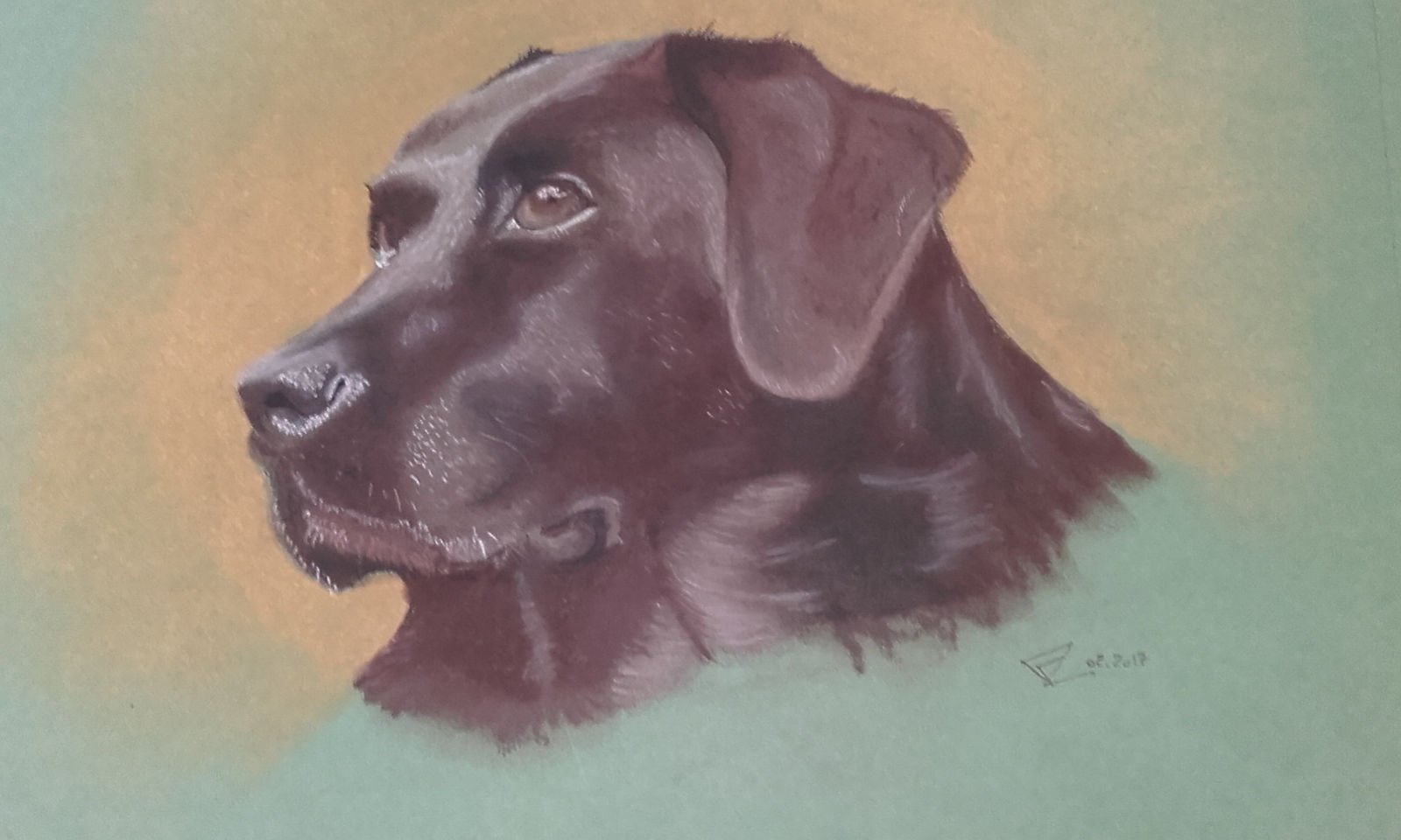 Frédéric Lorne, Labardor, 2017