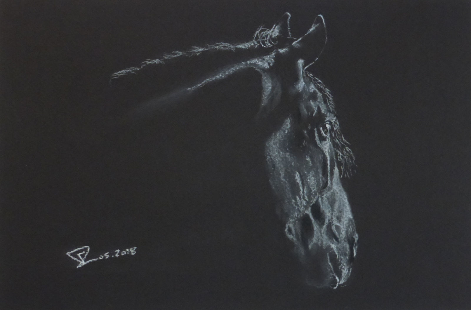 Frédéric Lorne, Cheval Frison , 2018