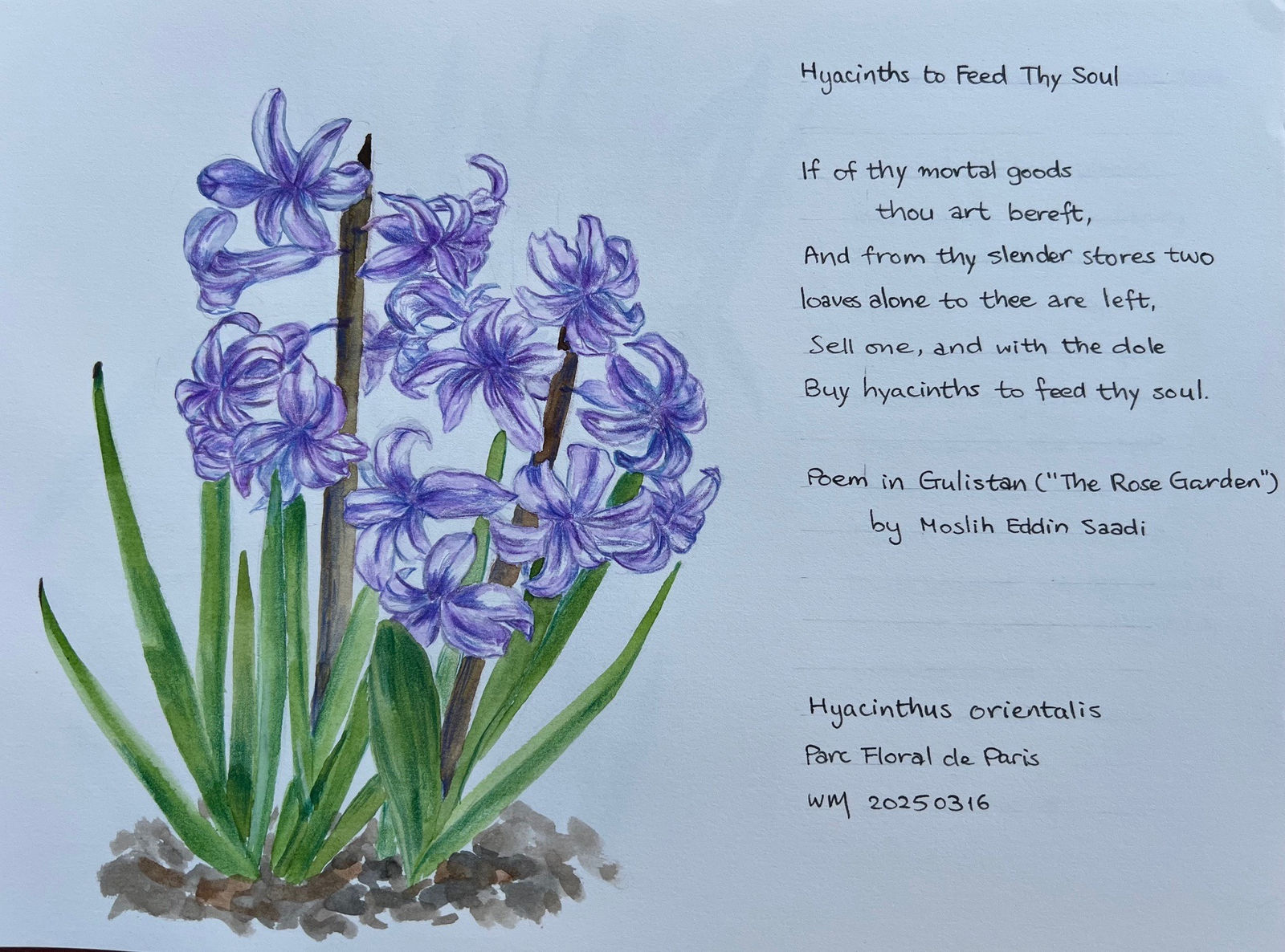 Wai Mei, Hyacinths to feed thy Soul, 2025