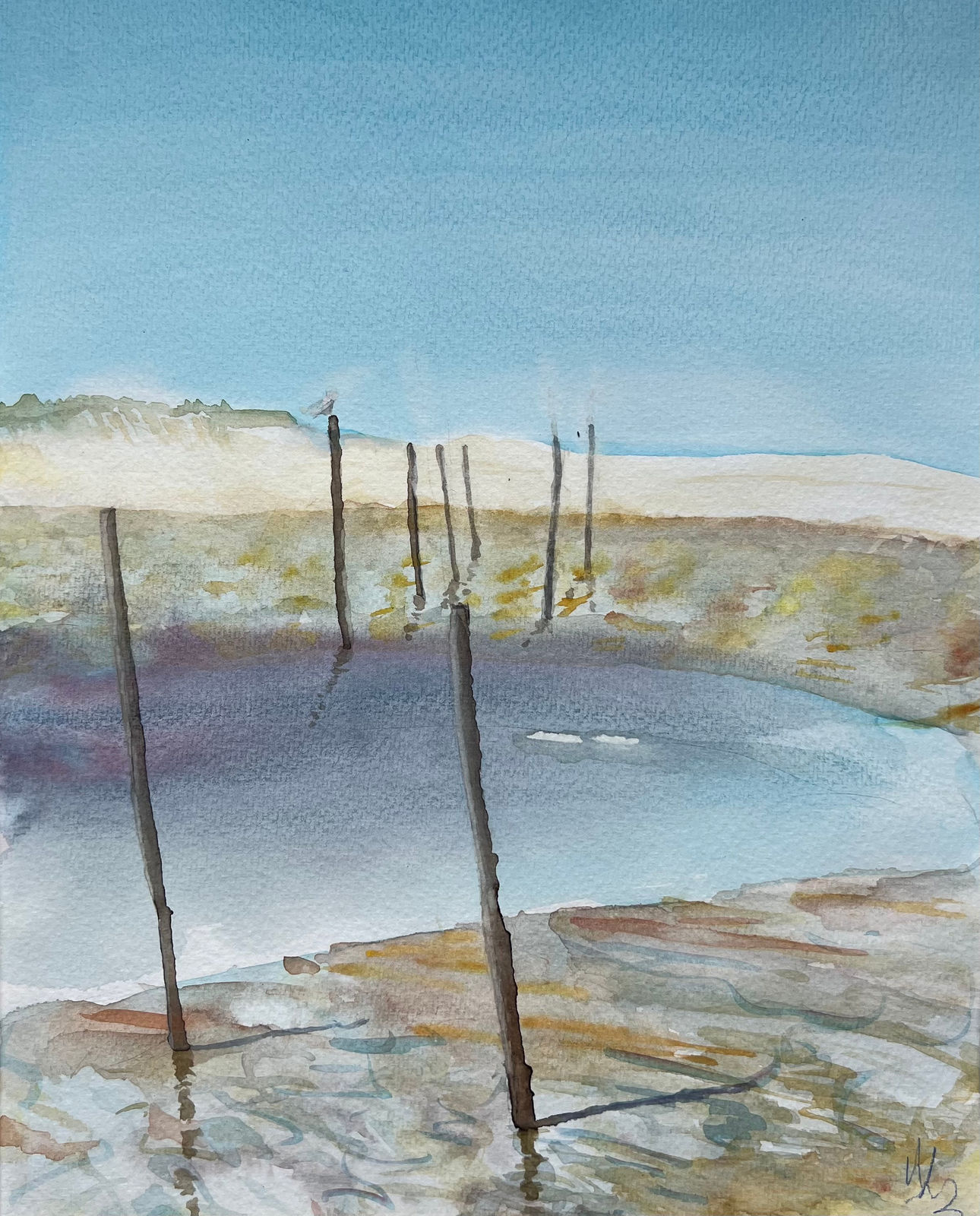 Agnès Loumagne-Bondu, Banc d'Arguin (1), 2023